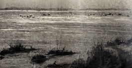 Lake George V