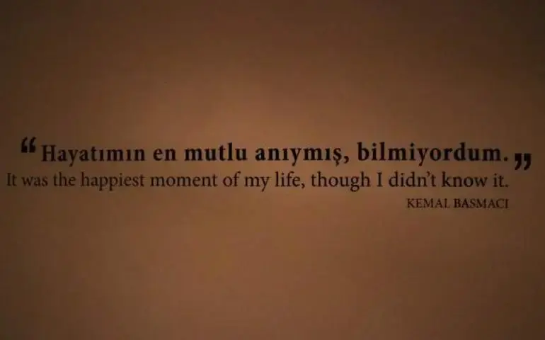 Masumiyet Müzesi Konusu