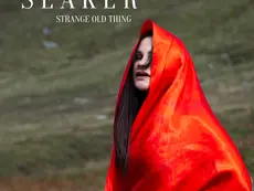 Melancholic Melody : Reflecting on losing a loved one with Seaker's 'Strange Old Thing'