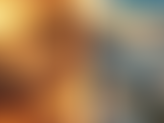 Motivação x Disciplina... quem vence essa corrida?