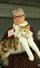 Aqua Aura Expo St Seurin 9 mois.jpg