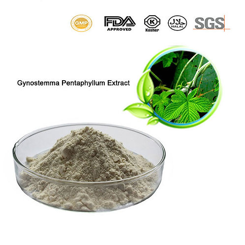 Jiaogulan Extract