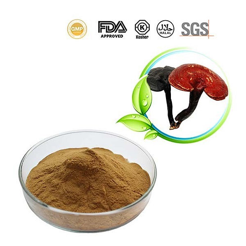Reishi Mushroom Extract