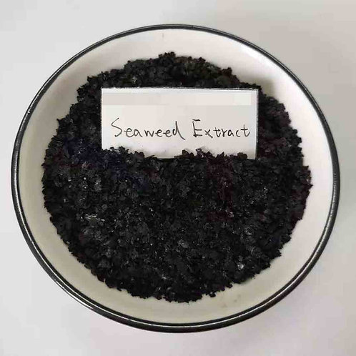 Seaweed Extracts Fertilizer
