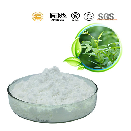 Vine Tea Extract Dihydromyricetin