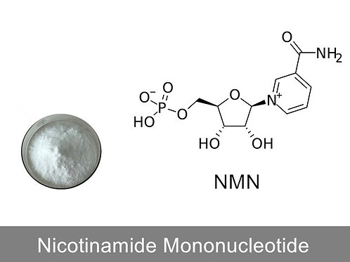 Nicotinamide Mononucleotide