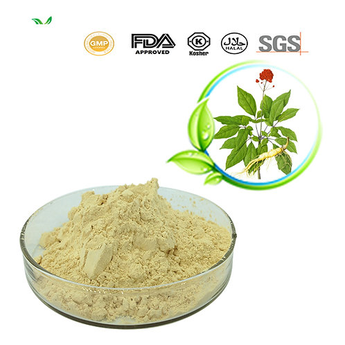 Ginsenosides Powder