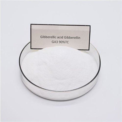 Gibberellic Acid GA3 CAS NO.77-06-5