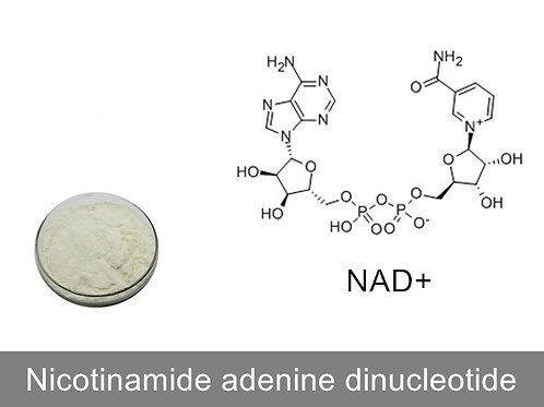Nicotinamide adenine dinucleotide