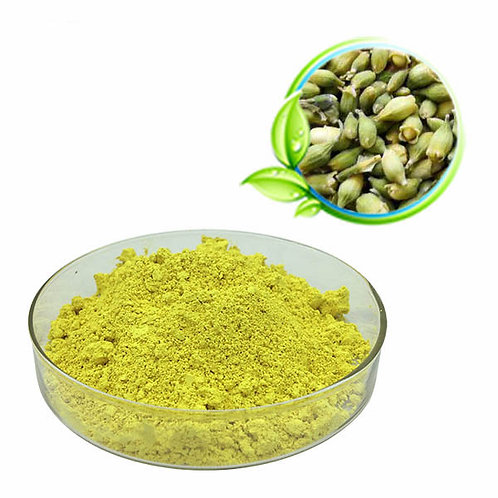Quercetin Powder