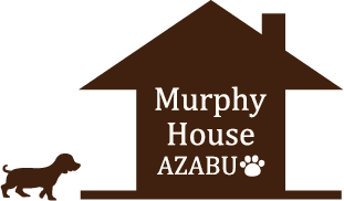 The Murphy House in Pontiac, United States