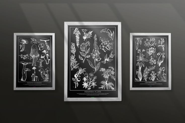 Botanical Posters