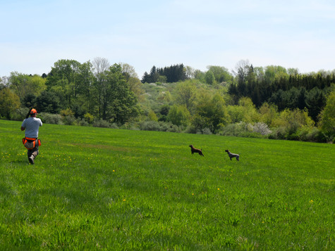 DSC_0053.JPG