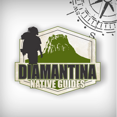 Projeto de branding e presença web Diamantina Native Guides