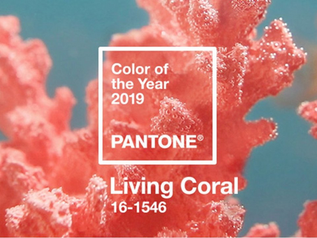 A cor do ano de 2019: Conheça o Living Coral