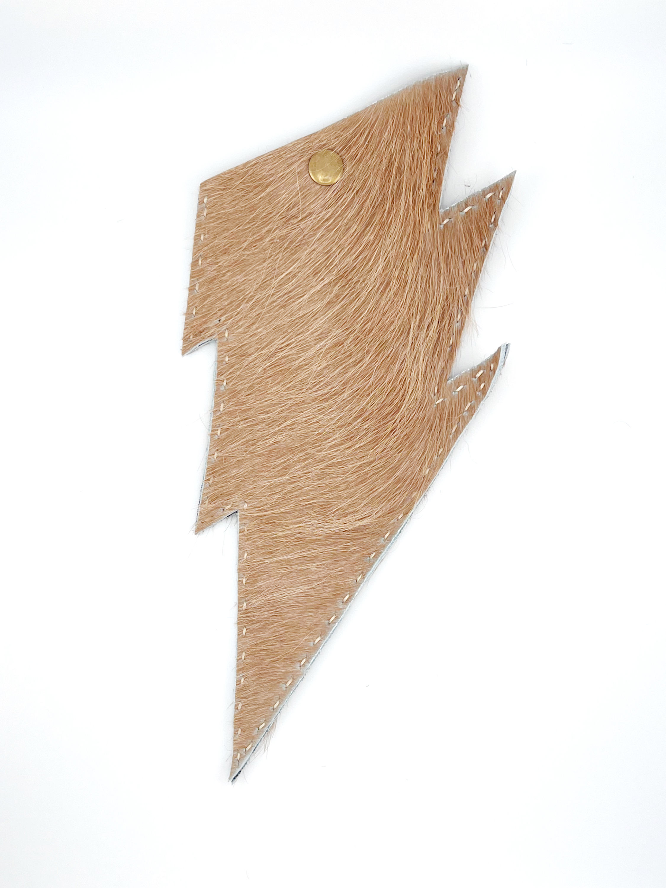 Small Lightning Bolt Sunglass Case