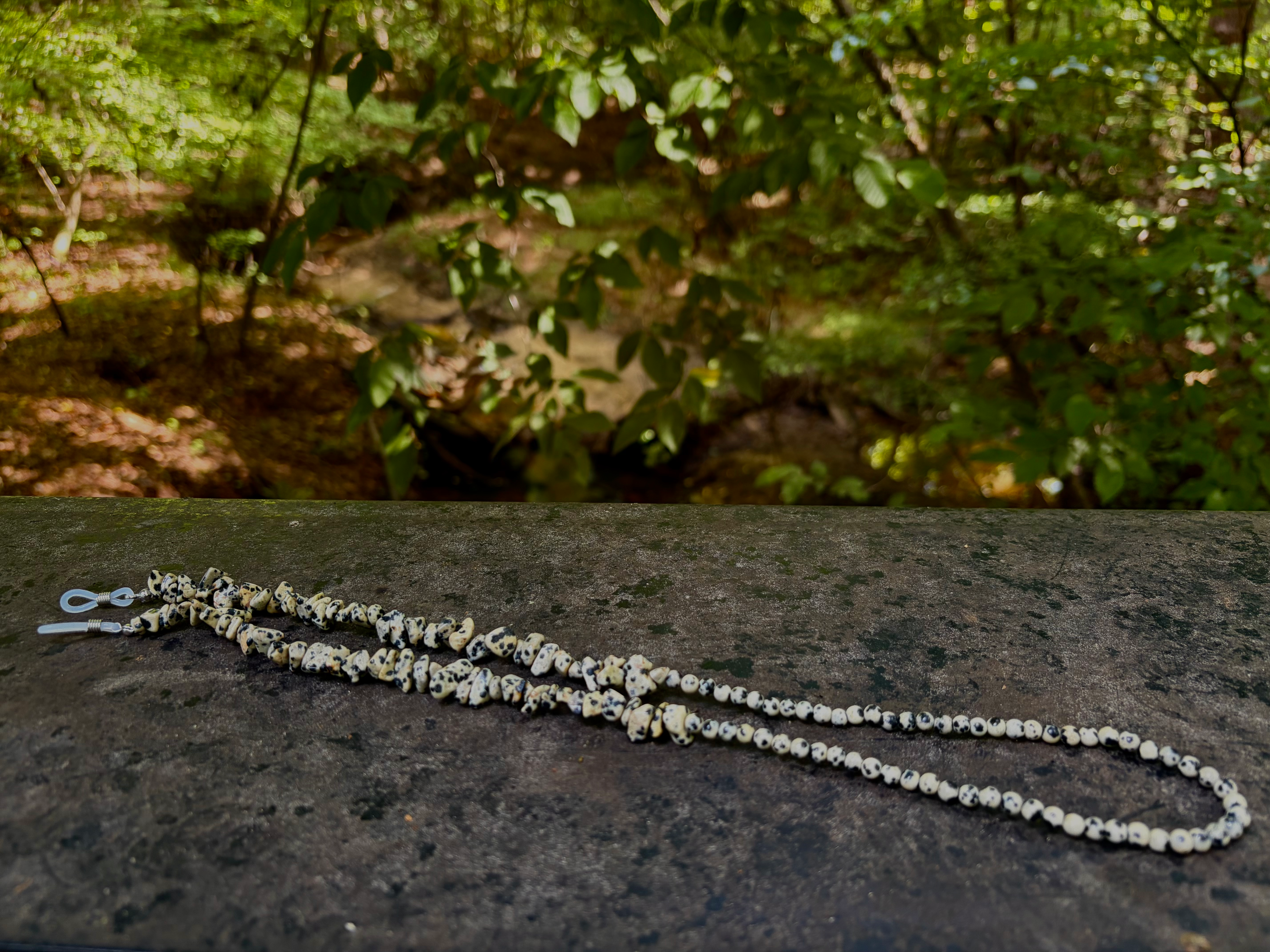 Dalmation Jasper Sunglass Necklace
