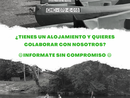 ¿Quieres colaborar con nosotros?