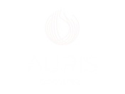 Apresentação Institucional AURIS (1).png