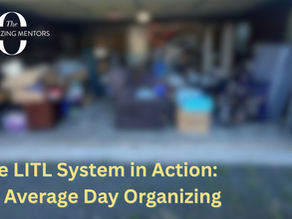 The LITL System in Action: An Average Day Organizing