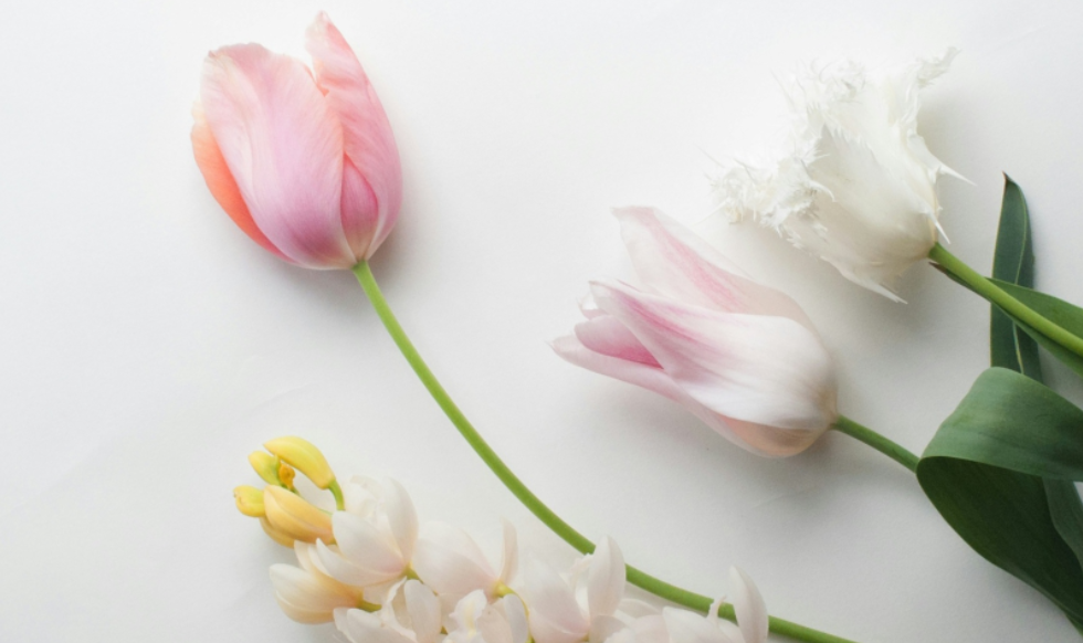 header-pic_edited.png