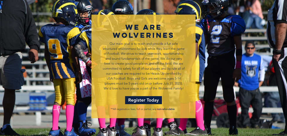 AFA Wolverines Website