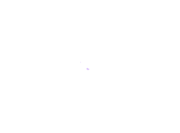vide.png