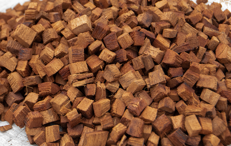 coco husk.png