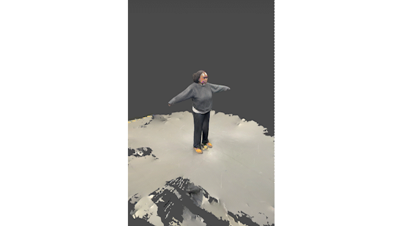 sr2.gif
