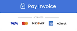 Payment Button for convenient online payment