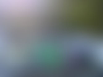 TREE PLANTING AND OUTREACH PROGRAM