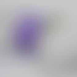 Masturbation féminine