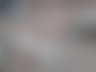 和室シロアリ被害から改修