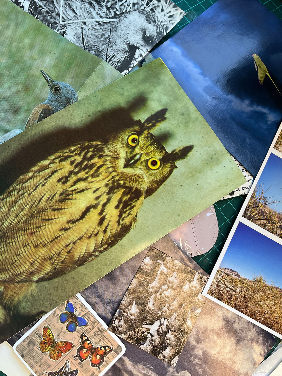 Thumbnail: Junk Journal Collage Kit- Elements 🔥🌬️🌊🌳