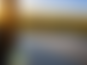 The Canadian Deck Builders Guide: Deck Maintenance