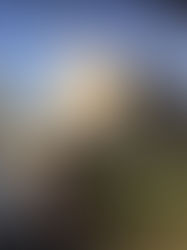 A Crusade to Carcassonne.