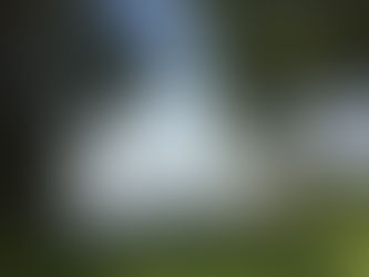 The Lure of the Laundry.