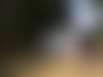 A Museum Dedicated to Bread?