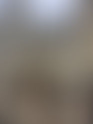 Can You Just Translate This?