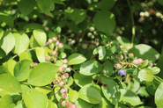 E1401451-C5C2-407A-AF73-2DB6DD85E02E.jpeg