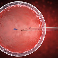 Capture d’écran_24-2-2026_63831_www.istockphoto.com.jpeg