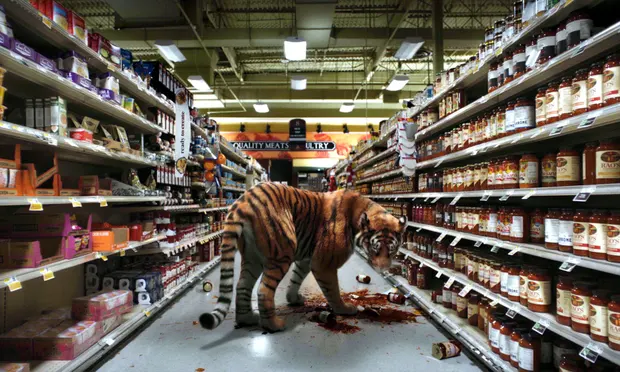 Digital tiger integrated into a supermarket scene for Euphoria