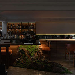 Xào Xạc Bar trong trí tưởng tượng của tôi giống như một Giấc mơ chữa lành, nơi mọi người có thể tựa vào chiếc ghế êm ái ở dưới Hiên nhà, nhấp rượu và hồ hởi tâm tình với người thân thiết. Trong giấc mơ có khu vườn xanh mướt mát, um tùm những bụi Dương Xỉ , điểm xuyết vài khóm Cúc dại , và một Cây Xoài sai trĩu cành trong góc vườn. Tui nhớ rõ từng gương mặt trìu mến trong giấc mơ ấy, vừa toát lên vẻ vui tươi, cũng có vẻ Trầm tĩnh. Thanh âm xào xạc của những Chiếc lá va vào nhau, rồi rơi xuống, phủ đầy Lối gập ghềnh dẫn vào hiên nhà. Tôi đã mang giấc mơ của mình đặt vào mái hiên mộc mạc, chiếc ghế mà người từng ngồi, và cả những giọt rượu nồng nàn. Có lẽ mọi thứ chỉ bắt đầu từ một bức tranh ngô nghê trong tâm trí của tôi, ngô nghê đến mức tôi đã ngại ngùng quá lâu để kể thành lời. Nhưng hôm nay tôi đã tự hào, rằng giấc mơ bình dị đó đã thật sự chữa lành cho người và cả tôi.