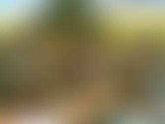 Từ cát và xi măng, chàng họa sĩ làm nên tuyệt tác trên bức tường khiến dân mạng trầm trồ