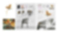 c0d3eb_a9aceb8a48e44525aca3b7dbf27bf56f~mv2.webp
