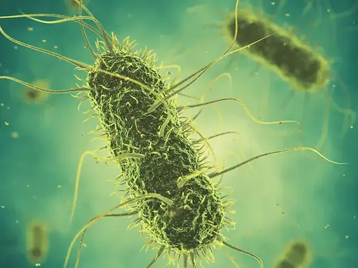 Image from Wisconsin Department of Health Sciences