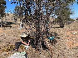 Liz Ports at work March 13.