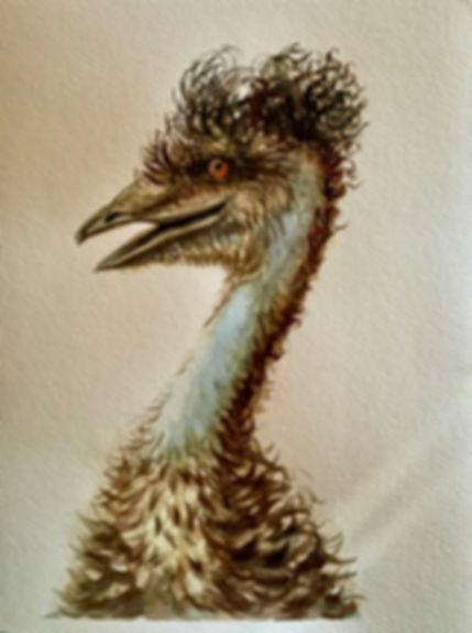 Emu