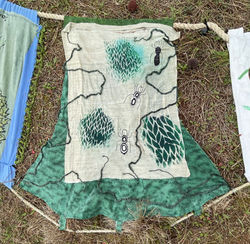 Wandering Ants 7 (installed)