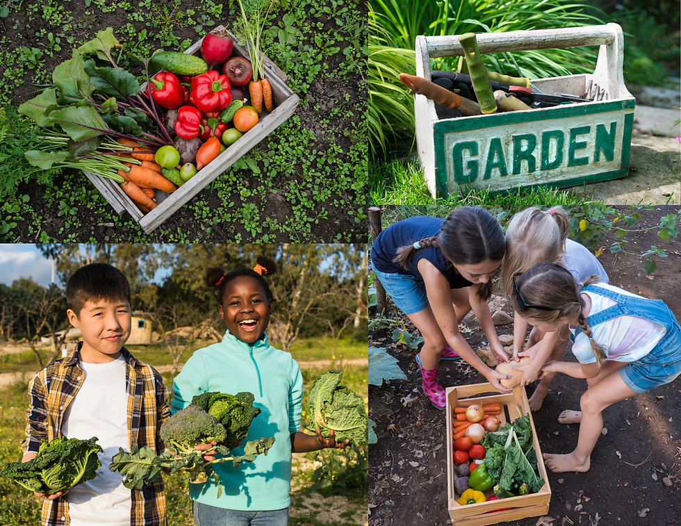 Untitled design (2).png